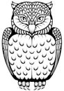 Owl