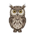 Owl illustration featuring sharp angular shapes in shades of brown Royalty Free Stock Photo