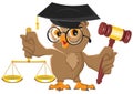 Owl Judge holding gavel and scales Royalty Free Stock Photo