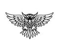 Owl logo emblem design vector image Royalty Free Stock Photo