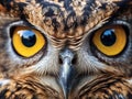 Ai Generated illustration Wildlife Concept of Owl