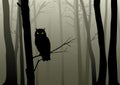 Owl In The Misty Woods Royalty Free Stock Photo