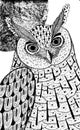 Owl and the moon. Ink drawing for coloring page and design. Graphic sketch. Vector illustration Royalty Free Stock Photo