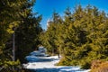 Long snowy path to highest peak of Owl Mountains Great Owl with view to top part of viewing