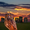 An owl and the mystery Stonehenge Royalty Free Stock Photo