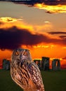 An owl and the mystery Stonehenge Royalty Free Stock Photo
