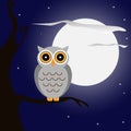 Owl at night Royalty Free Stock Photo