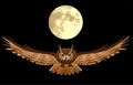 Owl in the night sky Royalty Free Stock Photo