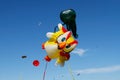 Owl and octopus kites at the kite festival in the Park Tsaritsyno in Moscow Royalty Free Stock Photo