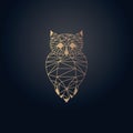 Owl origami design. Gold effect color vector with dark background