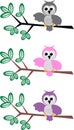 Owl pattern