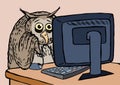 owl with pc