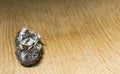 Owl pellet with bones on a wooden background Royalty Free Stock Photo