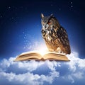 Owl perched on open book in clouds Royalty Free Stock Photo