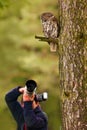 Owl with photographer. Tawny owl hidden in the forest. Brown owl sitting on tree stump in the dark forest habitat with catch. Beau