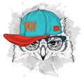 The owl portrait in hip-hop hat. Vector illustration. Royalty Free Stock Photo