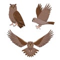Owl predatory bird icons set. Flying and sitting Owls birds in different poses