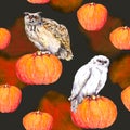 Owl on pumpkin. Halloween watercolor repeating background Royalty Free Stock Photo