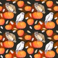 Owl on pumpkin. Halloween watercolor repeating pattern Royalty Free Stock Photo