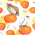 Owl on pumpkin. Halloween watercolor seamless pattern Royalty Free Stock Photo