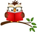 Owl reading a book on tree branch