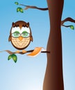 Owl Reading in a Tree