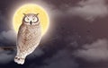 Owl realistic night composition with nocturnal scenery and bird sitting on branch in front of moon vector