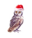 Owl in red santa hat at stub. Watercolor christmas animal Royalty Free Stock Photo