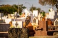 An owl resting on a grave. Royalty Free Stock Photo