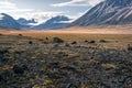 Owl River bed near Mt. Asgard, in arctic remote valley, Akshayuk Pass, Nunavut. Beautiful arctic landscape in the late