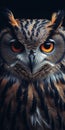 Realistic Tilt-shift Owl Wallpaper For Samsung S7