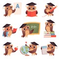 Owl school. Teacher birds characters teaching reading writing owls cartoon collection Royalty Free Stock Photo