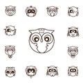 Owl set , illustration Royalty Free Stock Photo