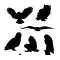 Owl set vector Royalty Free Stock Photo