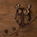 Owl shape from coffee beans and spices