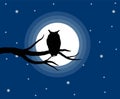 Owl Silhouette on a Barren Tree at Night Royalty Free Stock Photo