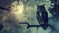 Owl Silhouette Double Exposure under a Starlit Night Sky