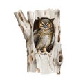 Owl siting in hollow of a tree. Watercolor illustration. Virgin eagle-owl hides in a hollow tree trunk. Bird of prey