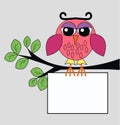 A owl sitting on a branch