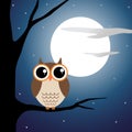 Owl sitting on a branch in moon light Royalty Free Stock Photo