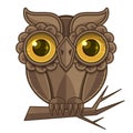 Owl sitting on a branch Royalty Free Stock Photo