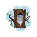 Owl sitting in hollow of tree, hollowed out old tree and bird inside vector Illustration on a white background