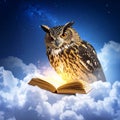 Owl sitting on open book cloud Royalty Free Stock Photo
