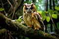 an owl sitting quietly on a tree branch in a dense forest