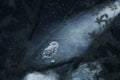 Awakening owl sitting on tree illuminated by bright moonlight Royalty Free Stock Photo