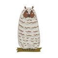 Owl Specie as Nocturnal Bird of Prey with Hawk-like Beak and Forward-facing Eyes Perching on Tree Branch Vector