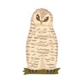 Owl Specie as Nocturnal Bird of Prey with Hawk-like Beak and Forward-facing Eyes Perching on Tree Branch Vector