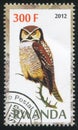 Owl stamp printed by Rwanda Royalty Free Stock Photo