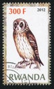 Owl stamp printed by Rwanda Royalty Free Stock Photo