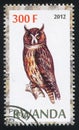 Owl stamp printed by Rwanda Royalty Free Stock Photo